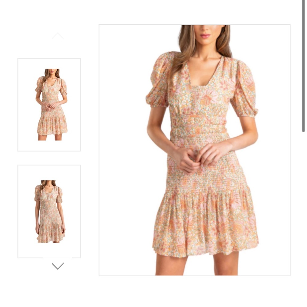 Shoshanna Aubrey Puff Sleeve Dress 6